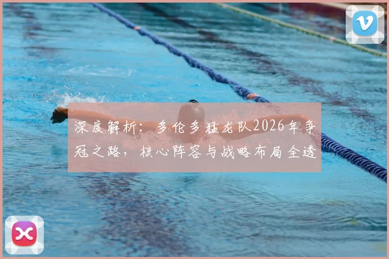 深度解析：多伦多猛龙队2026年争冠之路，核心阵容与战略布局全透视